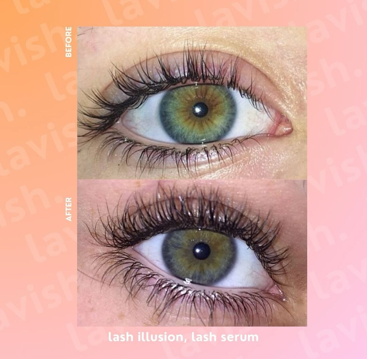 Lavish Lash Illusion Eyelash Serum 3ml